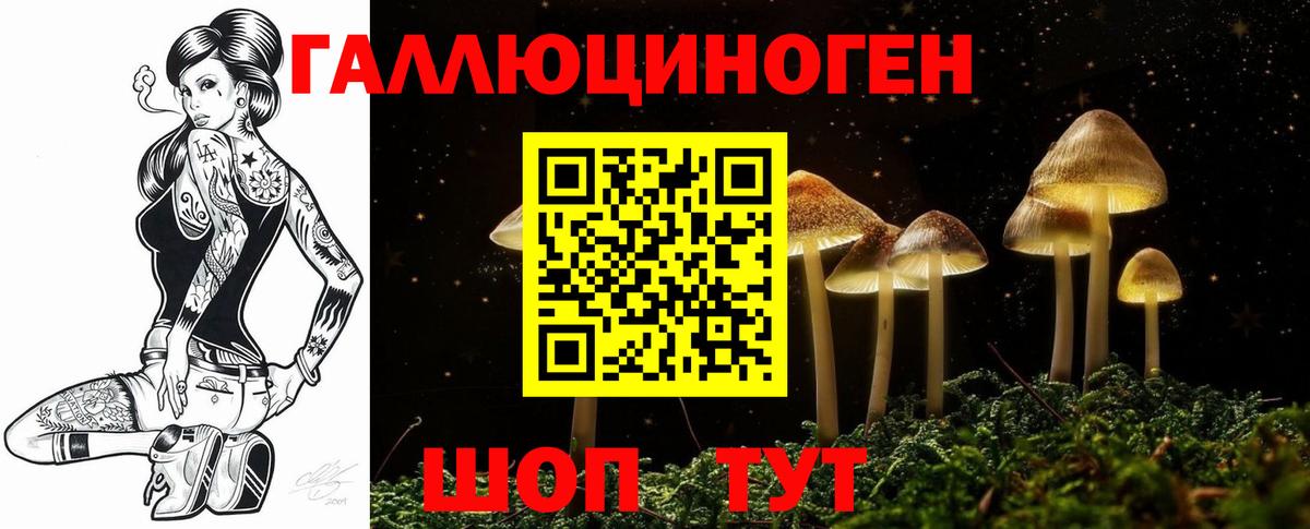 Галлюциногенные грибы мицелий  Галлюциногенные грибы ЛСД  Камышлов  Вход с VPN 
