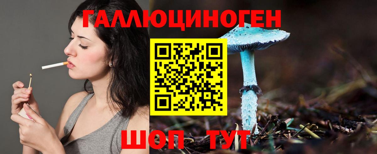 Галлюциногенные грибы Cubensis Камышлов