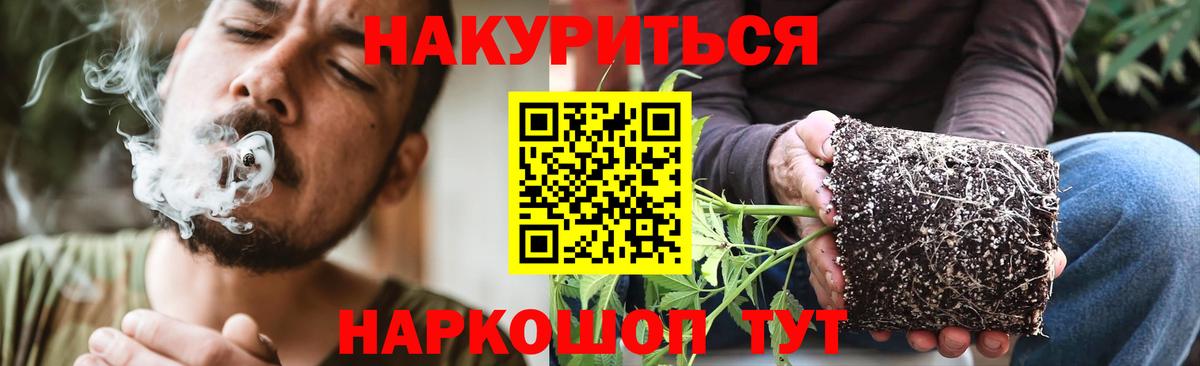 Камышлов  Бошки марихуана тримм  Бошки марихуана ГИДРОПОН  Бошки Шишки THC 21%  Вход с VPN  Конопля ГИДРОПОН 